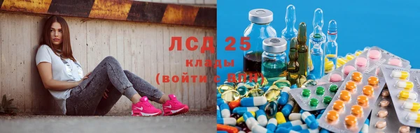 прущие крисы Алексин