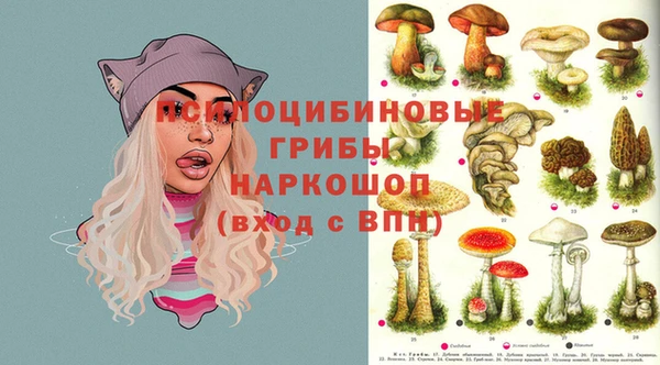 прущие крисы Алексин