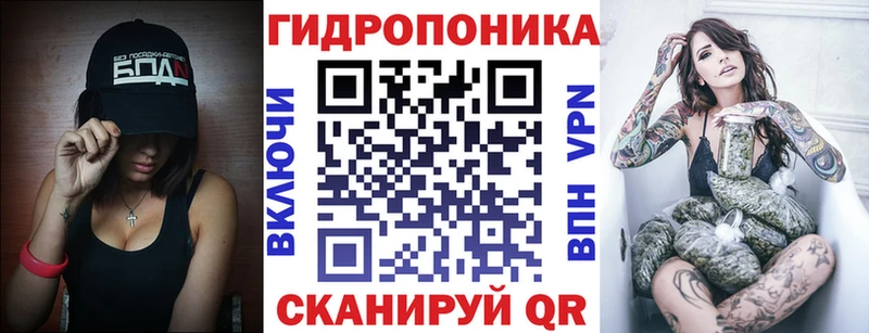 Конопля гибрид  Болхов 